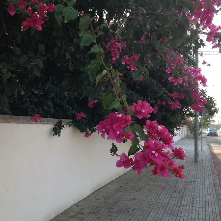 Casa La Sorgente Di Carlo Magno Apartment Otranto