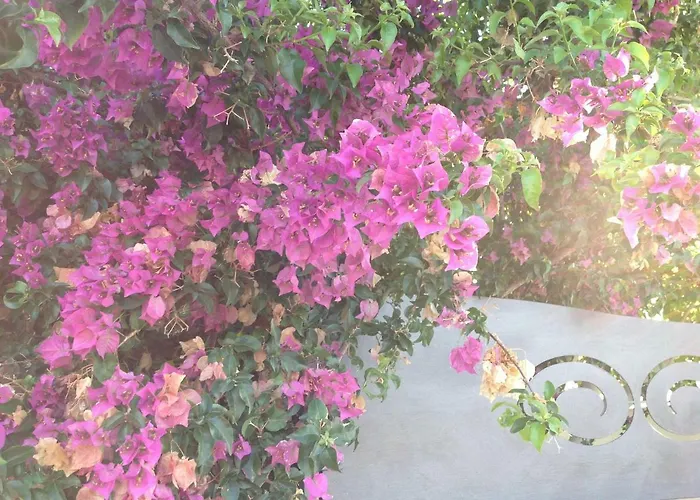 Casa La Sorgente Di Carlo Magno *