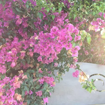 Casa La Sorgente Di Carlo Magno *