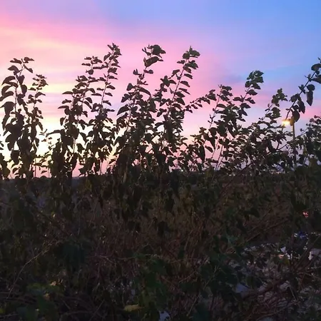 Casa La Sorgente Di Carlo Magno