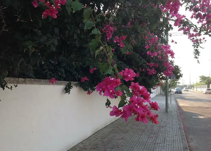 Casa La Sorgente Di Carlo Magno Apartmán Otranto