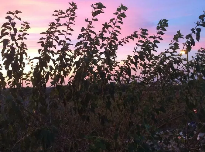 Casa La Sorgente Di Carlo Magno